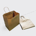 10 x 5.5 x 10 Inch Paper Bag with Twisted Paper Handle - Medium Bag