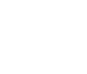 BRAND NAME